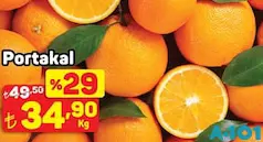 PORTAKAL KG fiyat ve kampanya bilgisi